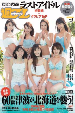 过把瘾